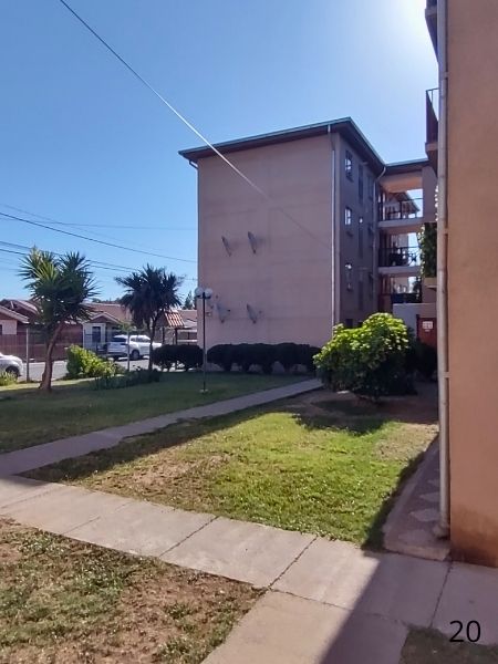 Miniatura 23